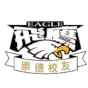 崇德飞鹰